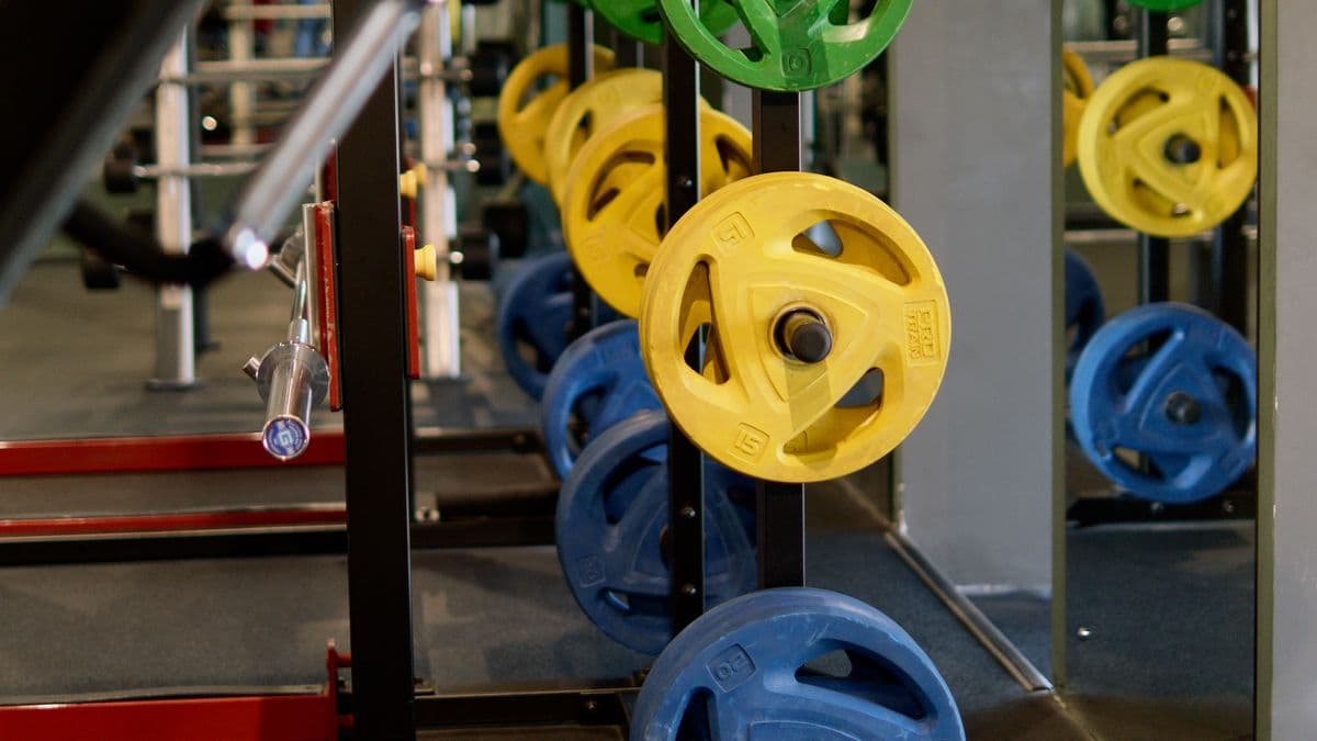 Colourful weight plates racked at a gym
